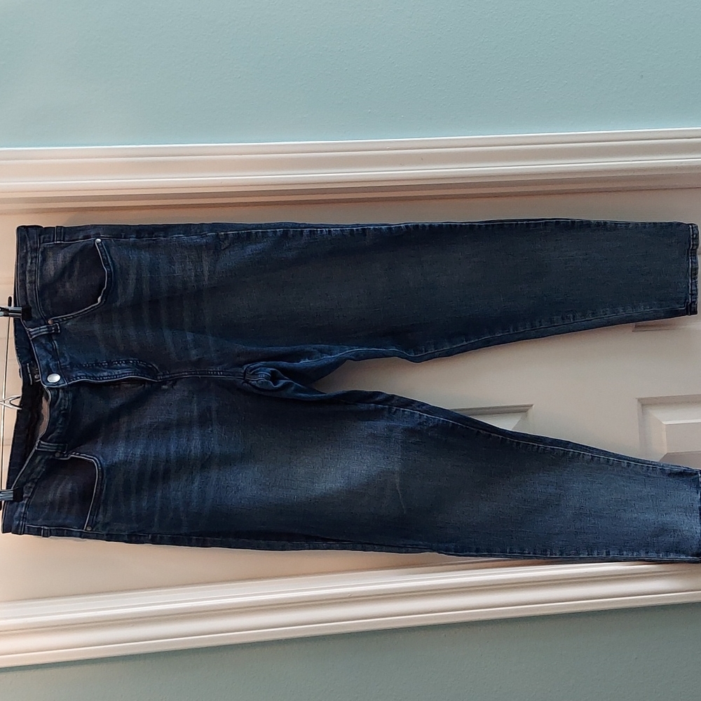 Universal Standard High Rise Skinny Seine Jeans